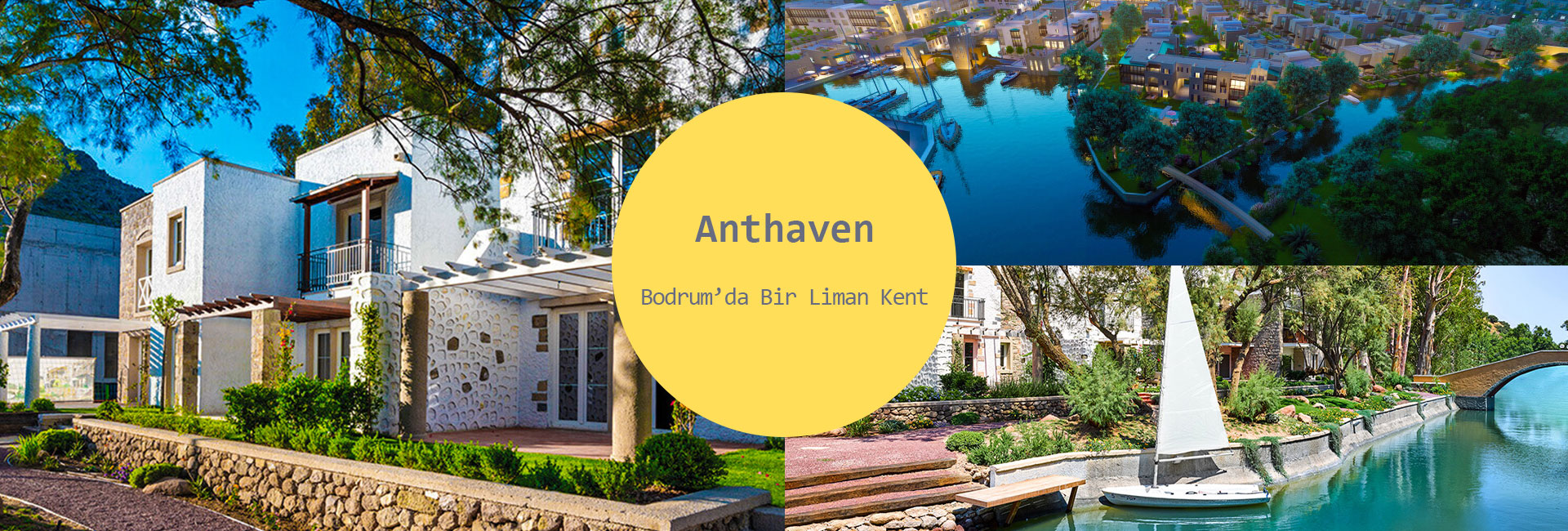 Anthaven